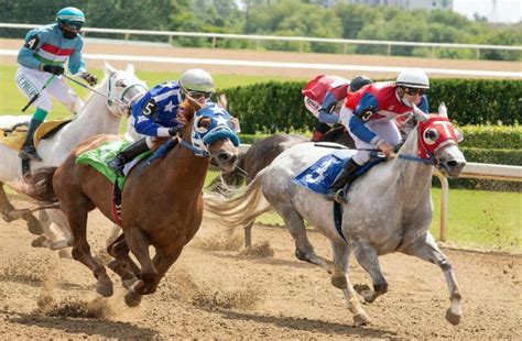 online horse betting philippines - online horse racing betting philippines.